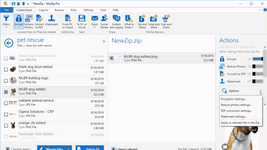 WinZip Pro v27.0 Build 15240 (x64) + Fix.png