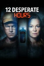 12.Desperate.Hours.2023.720p.WEBRip.800MB.x264.jpg