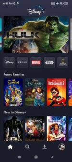 Screenshot_2023-06-16-18-57-49-076_com.disney.disneyplus.jpg