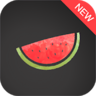 Melon VPN - Unblock Proxy VPN Premium Mod Apk